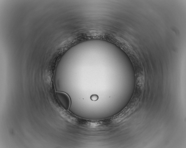 X0000110960662200906261342