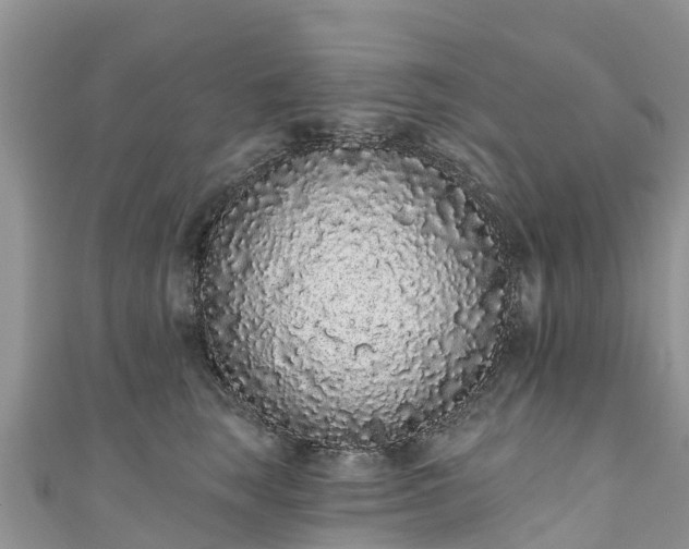 X0000110960663200906261342