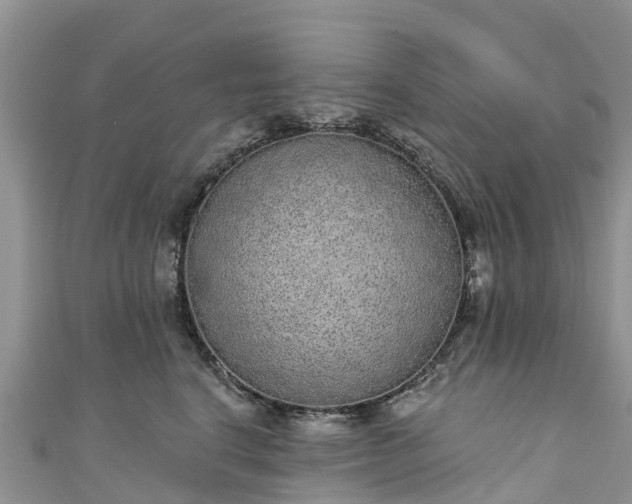 X0000110960664200906261342