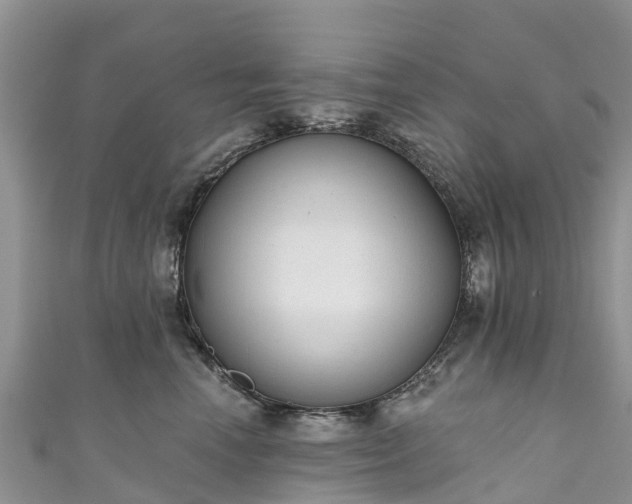 X0000110960666200906261342