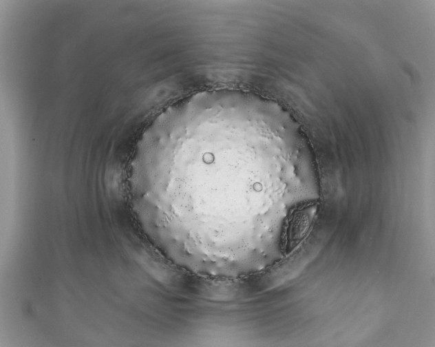 X0000110960671200906261343