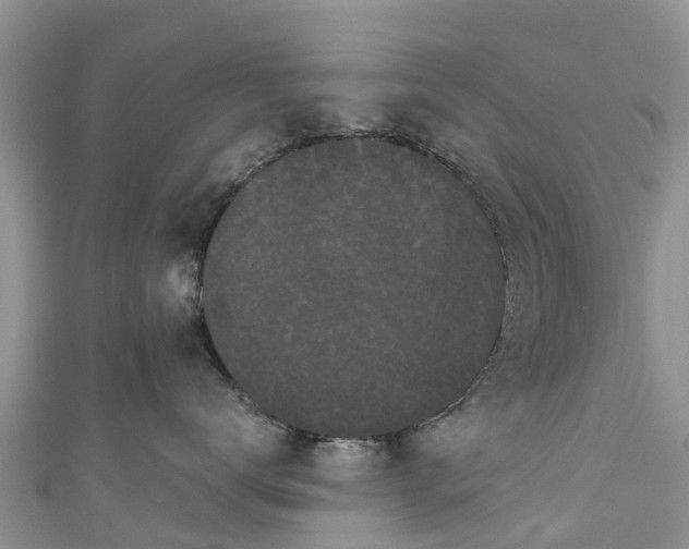 X0000110960672200906261343