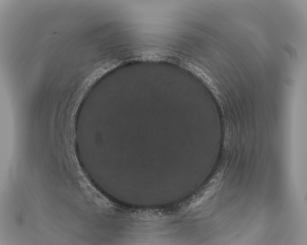 X0000110960673200906261342