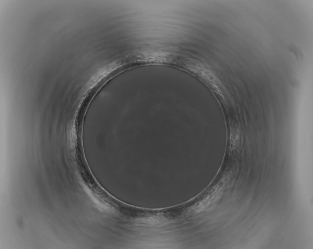 X0000110960674200906261342