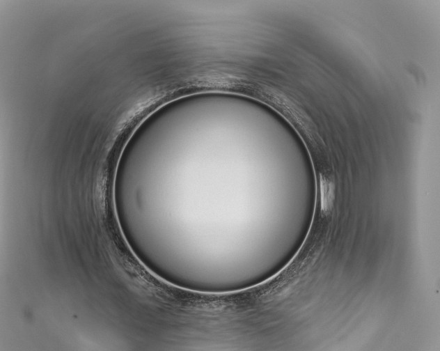 X0000110960675200906261342