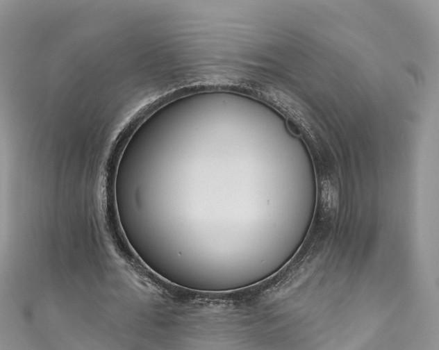 X0000110960676200906261342