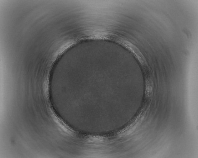 X0000110960677200906261342