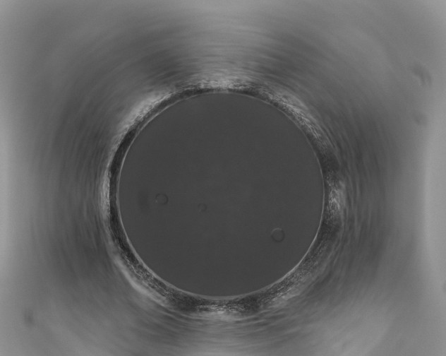 X0000110960678200906261342