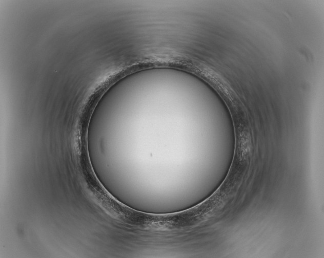 X0000110960680200906261342