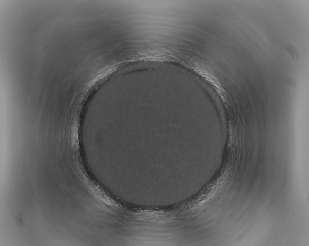 X0000110960681200906261342