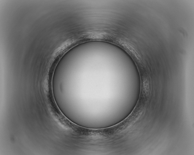 X0000110960682200906261342