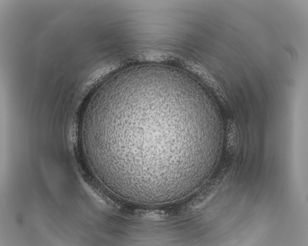 X0000110960683200906261342