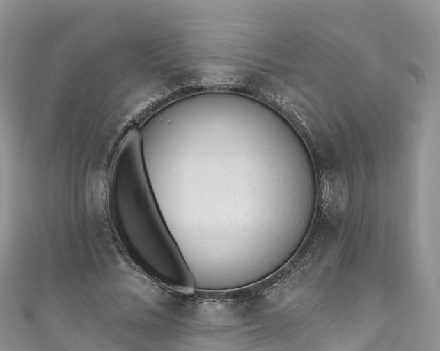 X0000110960684200906261342