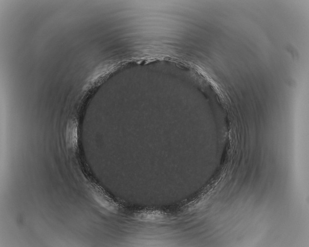 X0000110960685200906261342