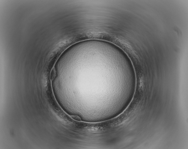 X0000110960687200906261342