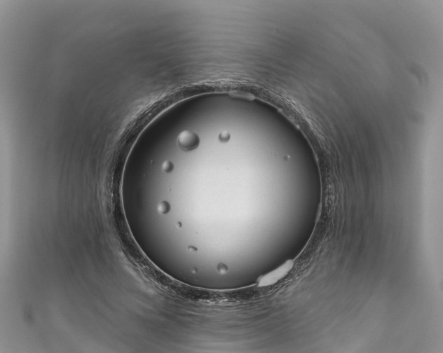 X0000110960688200906261342