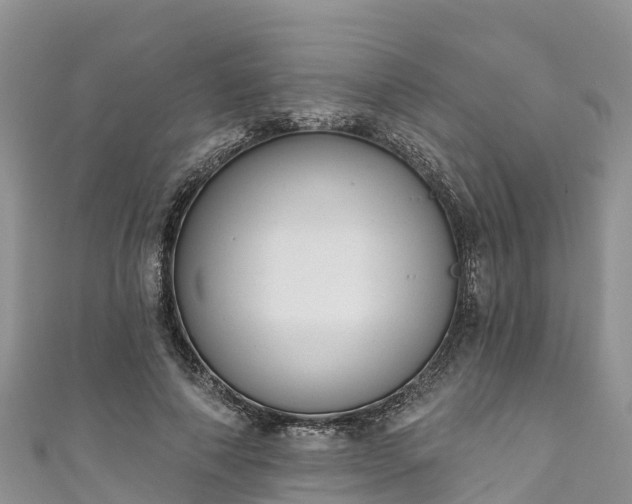 X0000110960690200906261342