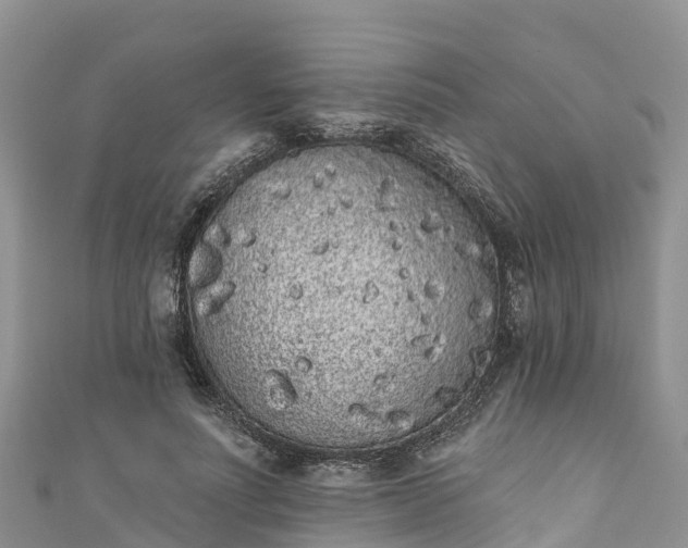 X0000110960691200906261342