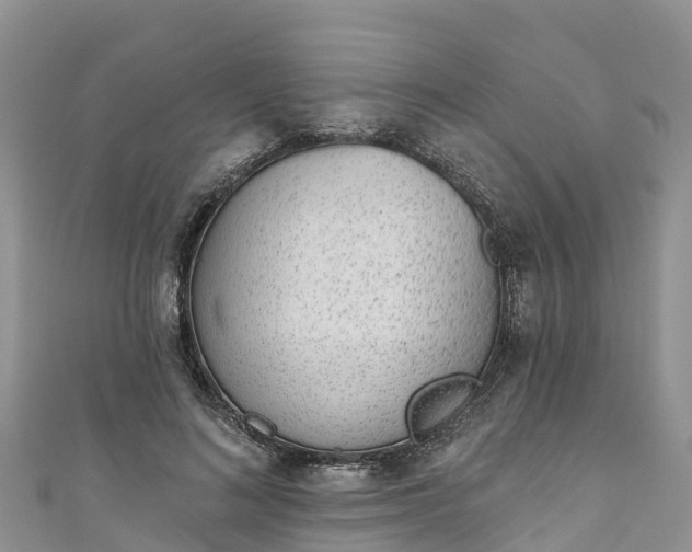 X0000110960692200906261342