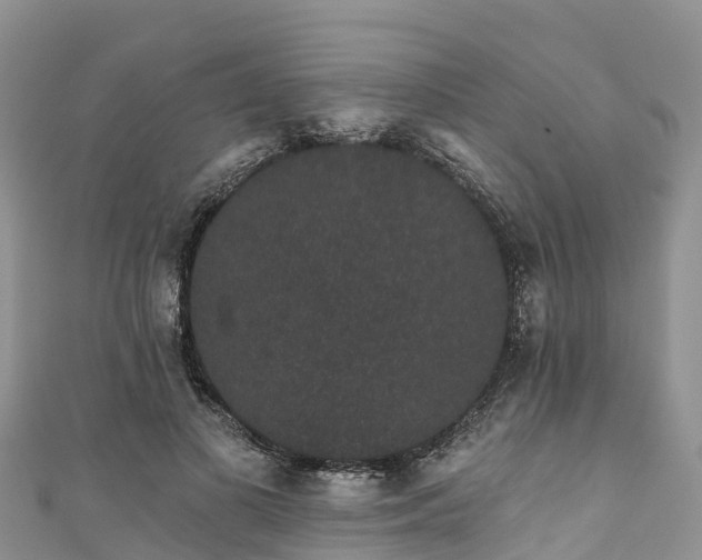 X0000110960693200906261342