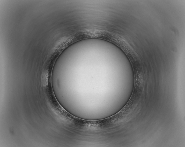 X0000110960694200906261342