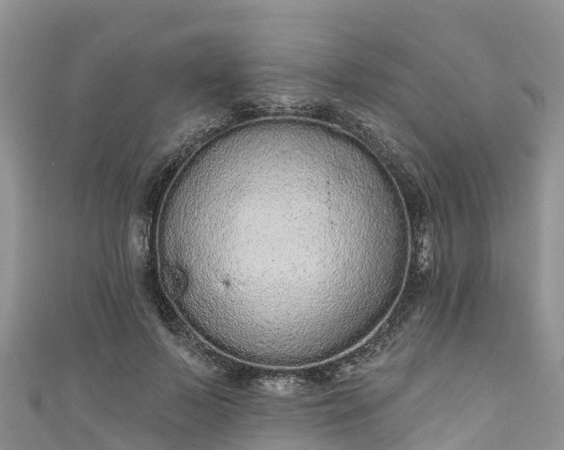 X0000110960695200906261342