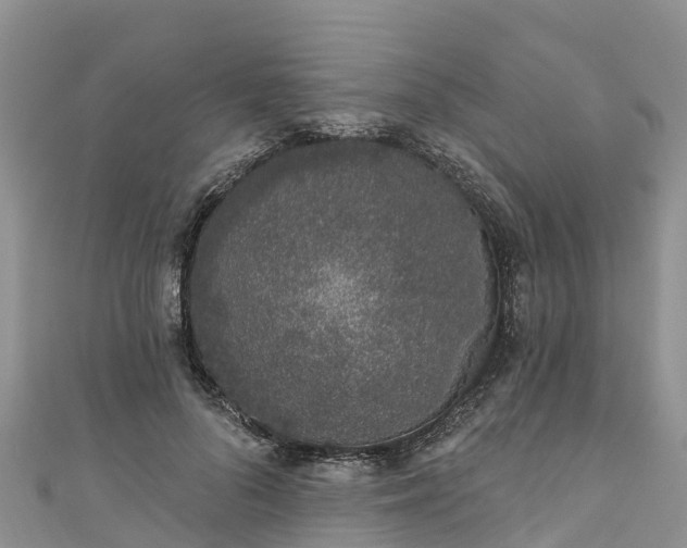 X0000110960696200906261342