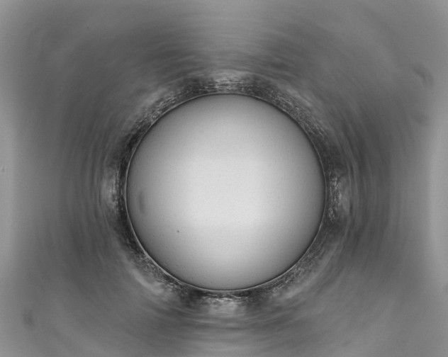 X0000110960698200906261342