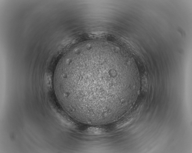 X0000110960699200906261342