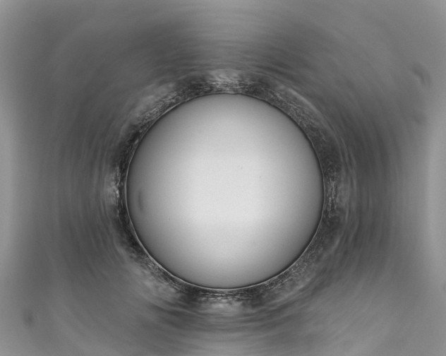 X0000110960702200906261342