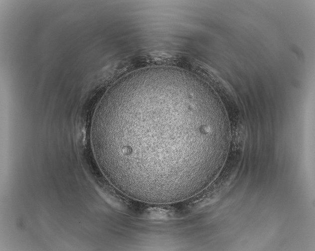 X0000110960703200906261342