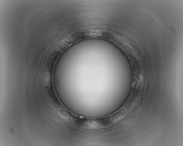 X0000110960704200906261342