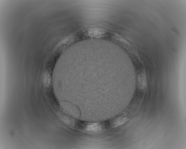 X0000110960705200906261342