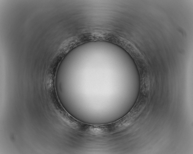 X0000110960706200906261342