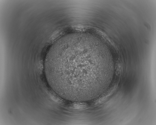 X0000110960707200906261341