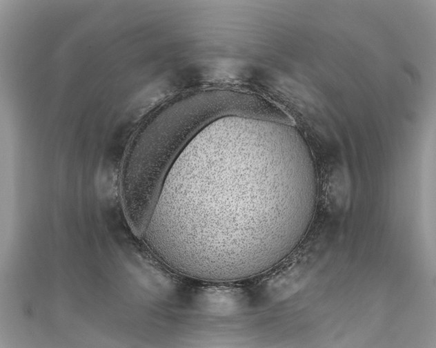 X0000110960708200906261341