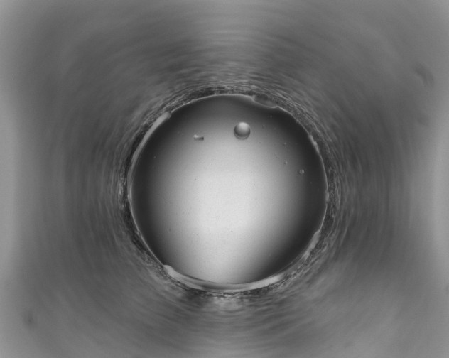 X0000110960709200906261341