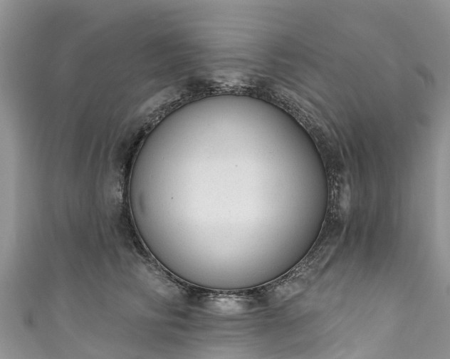 X0000110960710200906261341