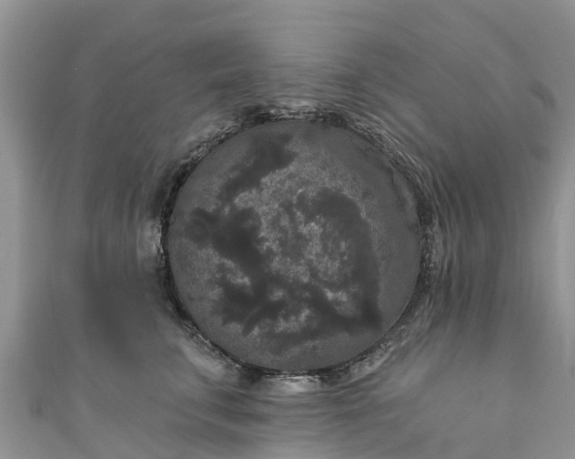 X0000110960711200906261341