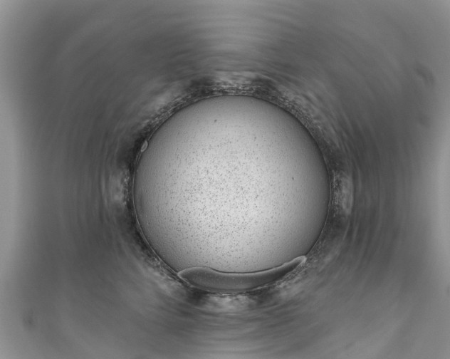 X0000110960712200906261341