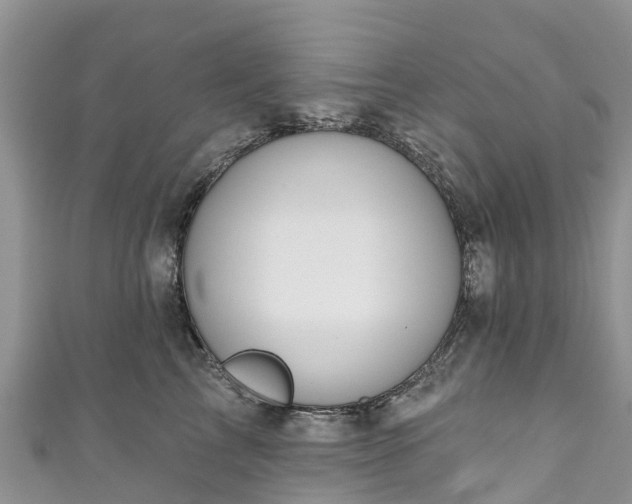 X0000110960713200906261341