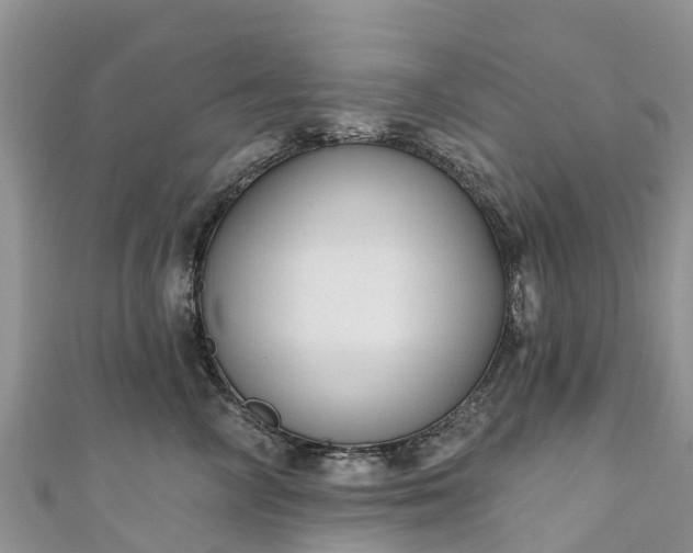 X0000110960714200906261341