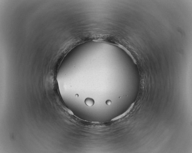 X0000110960716200906261341