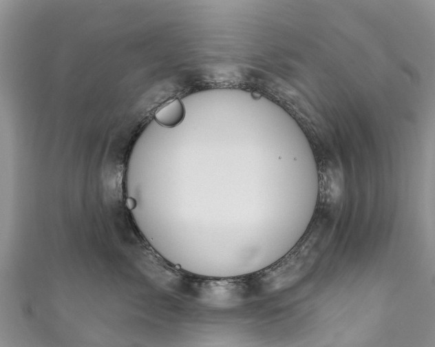 X0000110960717200906261341