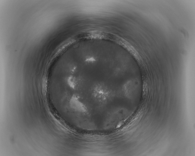 X0000110960722200906261341