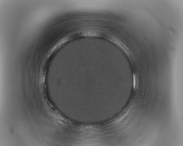 X0000110960723200906261341