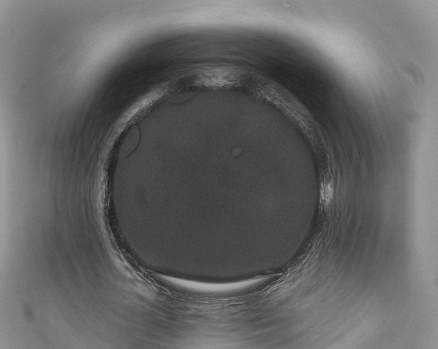 X0000110960724200906261341