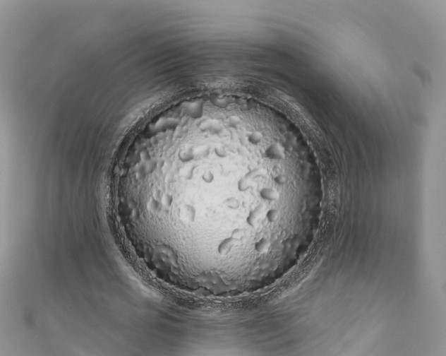 X0000110960725200906261341