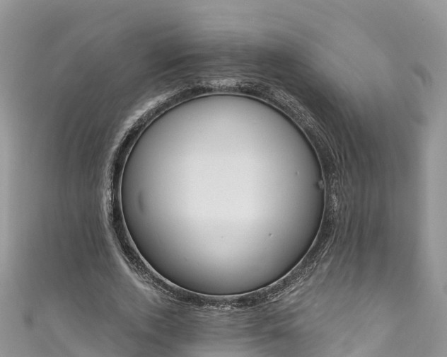 X0000110960728200906261341