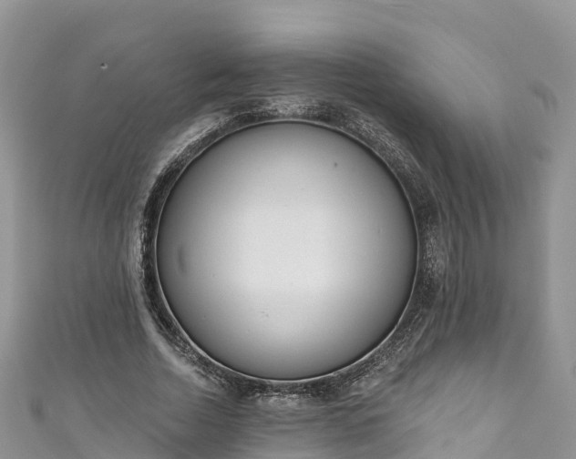 X0000110960730200906261341